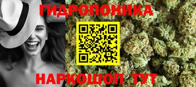 mdpv Краснознаменск